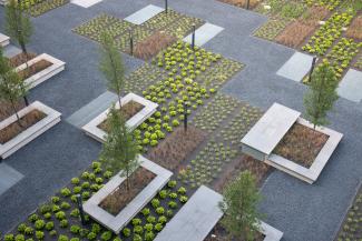 Chess pattern created by the plants and pathway areas